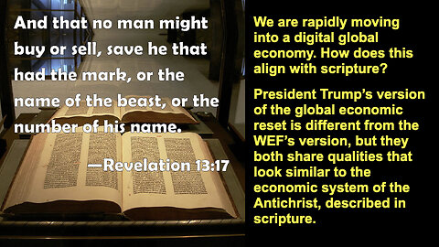 497 The Beast's Economic System