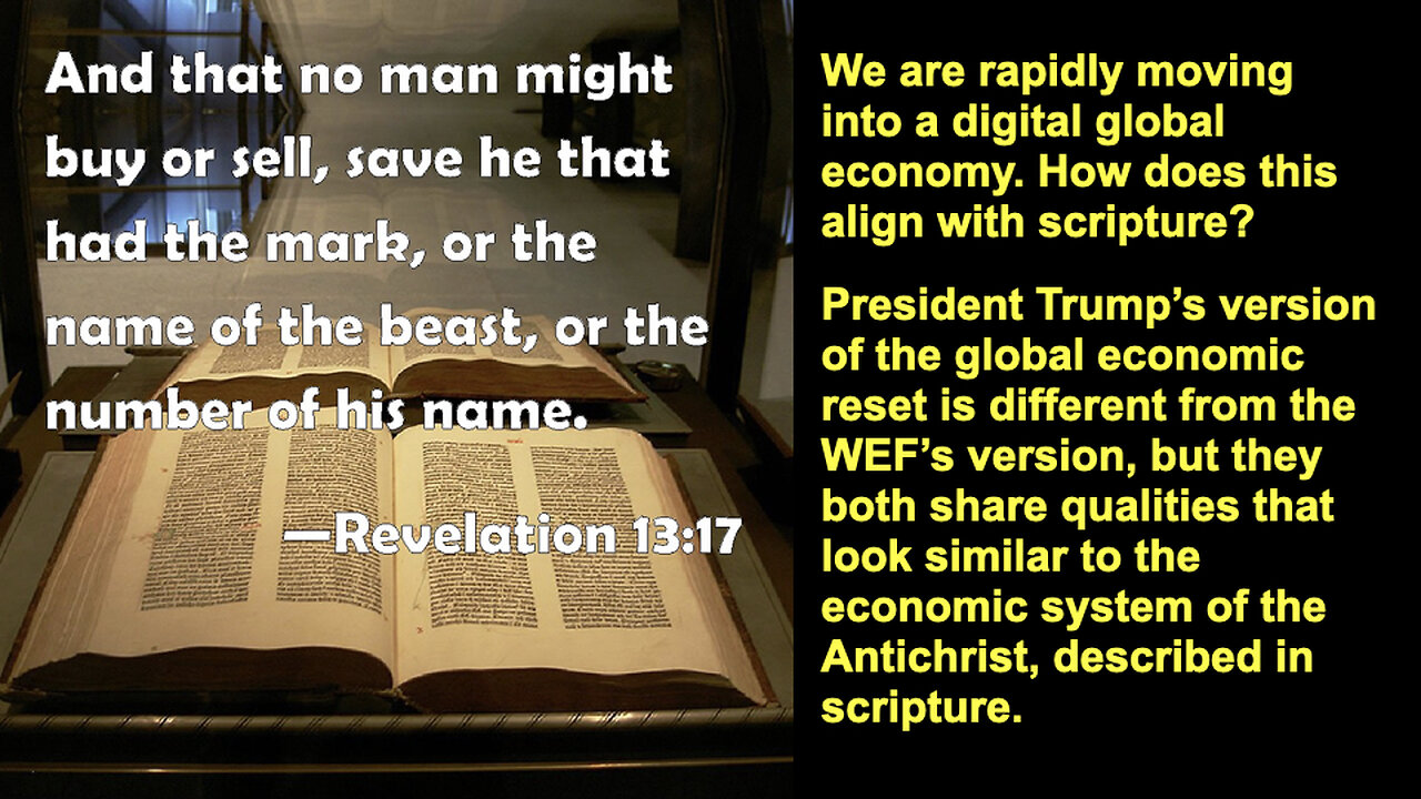 497 The Beast's Economic System