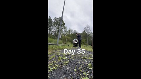 Day 35, 100 push-ups with my little bear 🐻