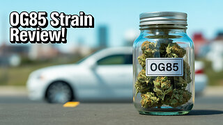 OG 85 strain from JK Distro the STRONGEST strain out there?