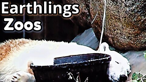 Earthlings Clip - Zoos