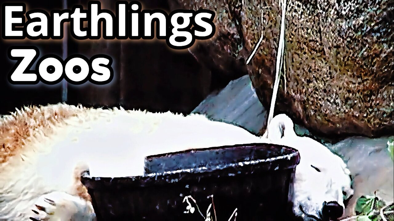 Earthlings Clip - Zoos