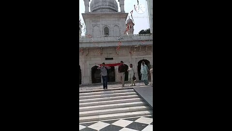 satisfying Video