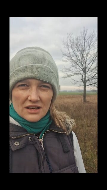 - In Poland, when your neighbor buys a new car, you don't say