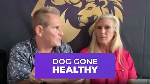 DOG 🐕 GONE HEALTHY