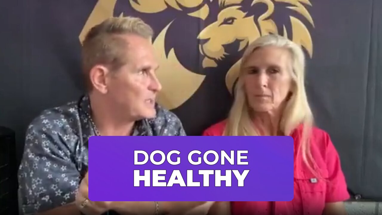 DOG 🐕 GONE HEALTHY