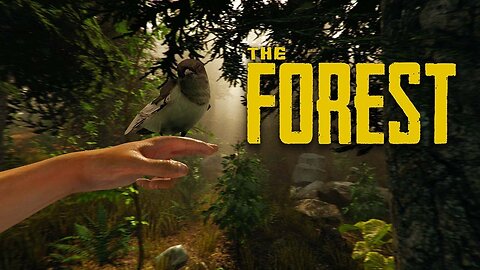 THE FOREST