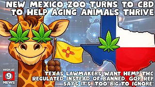 Wisconsin Democrats announce marijuana legalization bill