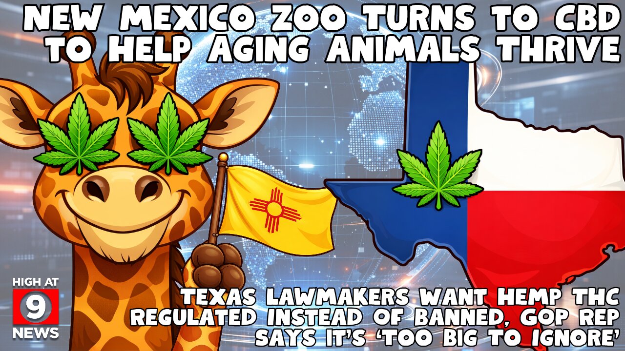 Wisconsin Democrats announce marijuana legalization bill