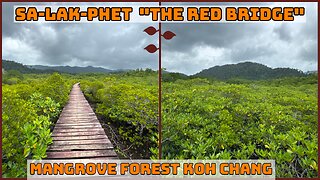 Salak Phet Mangrove Forest - The Red Bridge - Great Natural Activity - Koh Chang Thailand 2025