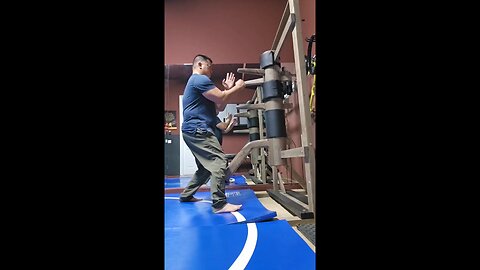WTD Wooden Dummy Combination 17