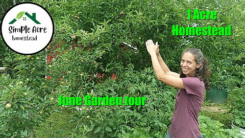 Our June Garden Tour. Homesteading on 1 Acre!
