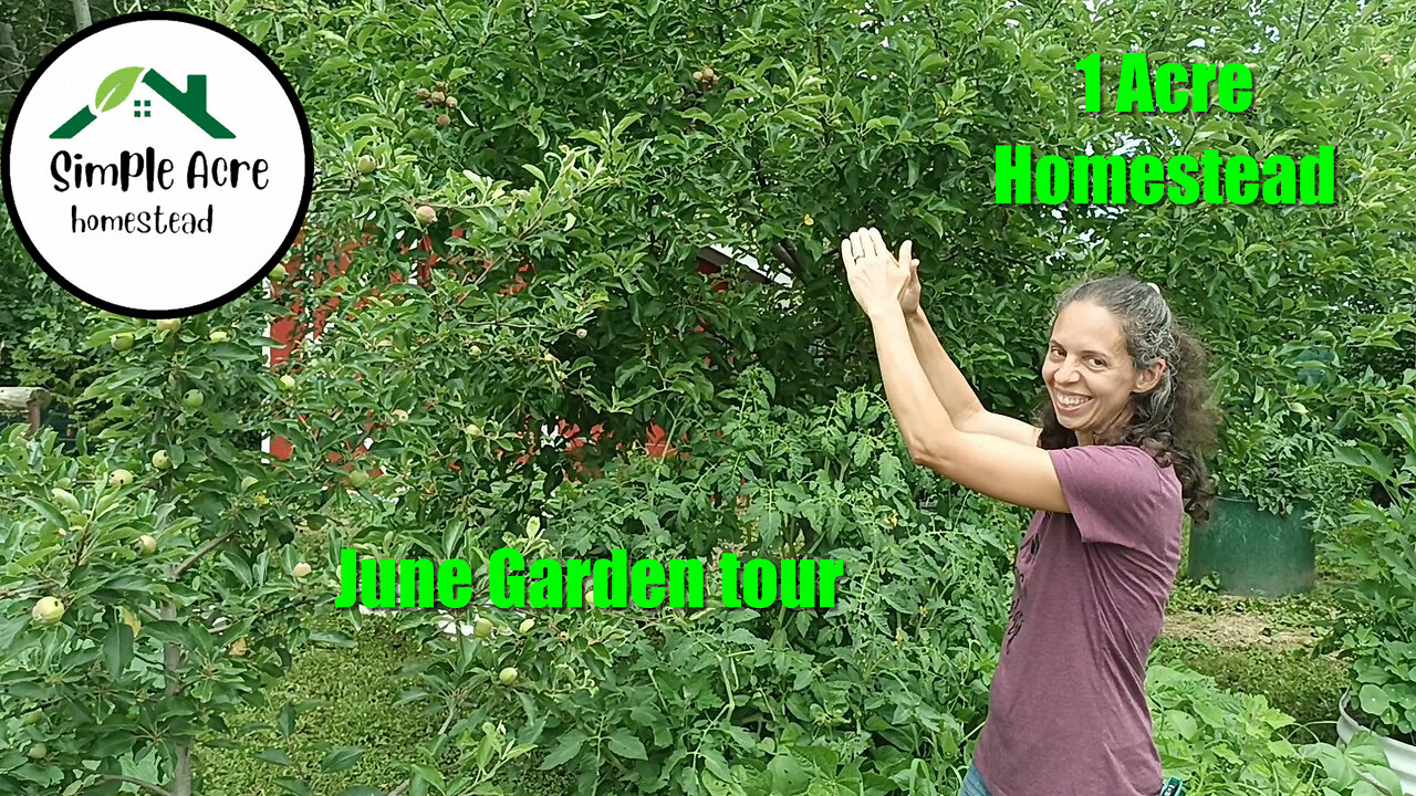 Our June Garden Tour. Homesteading on 1 Acre!