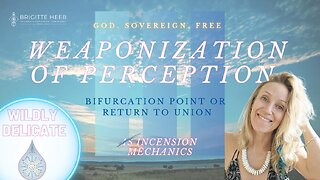 Wildly Delicate - Weaponization of Perception - Episode #10