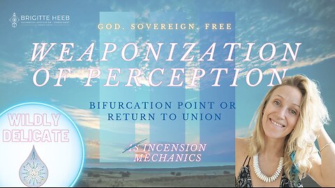 Wildly Delicate - Weaponization of Perception - Episode #10