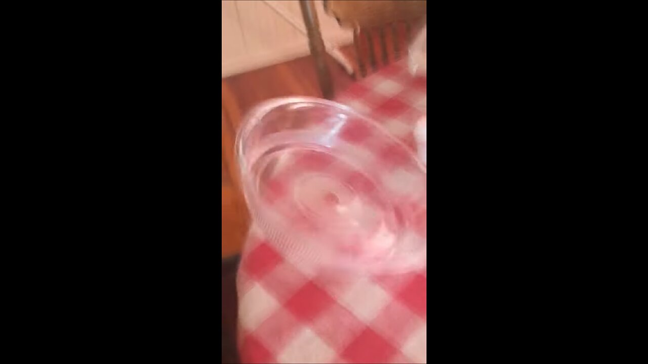 The new flying saucer (:3 just cause)