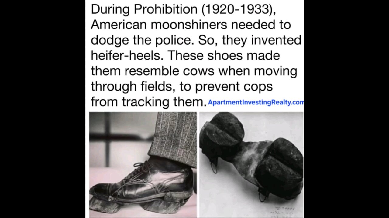 Heifer-Heels? 🤔🤑