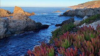 Nature sounds to relax, meditate and sleep
