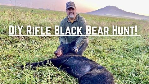 DIY Mountain Black Bear Hunt in the corn fields!