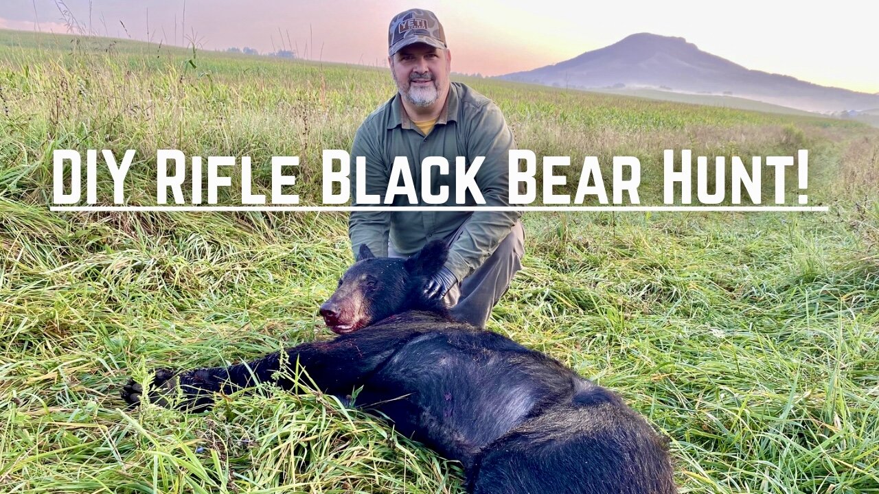 DIY Mountain Black Bear Hunt in the corn fields!