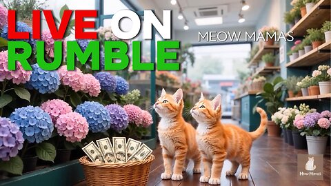 Meow Mamas - LIVE on RUMBLE