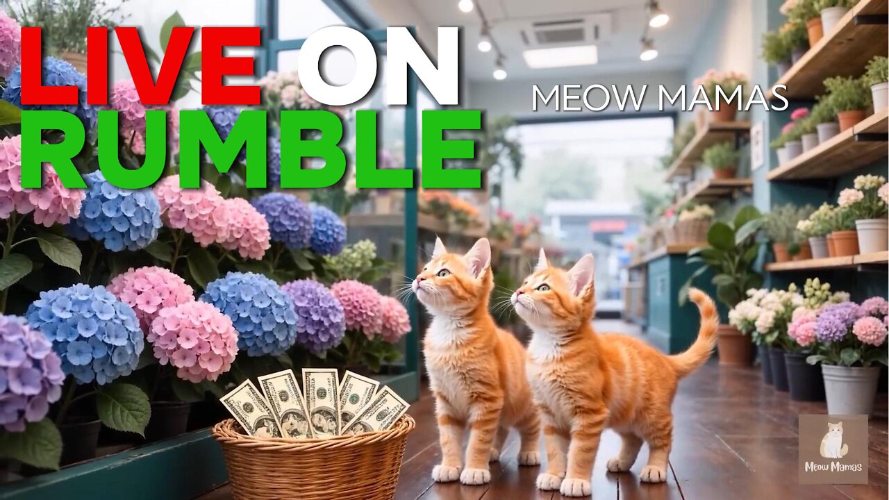 Meow Mamas - LIVE on RUMBLE