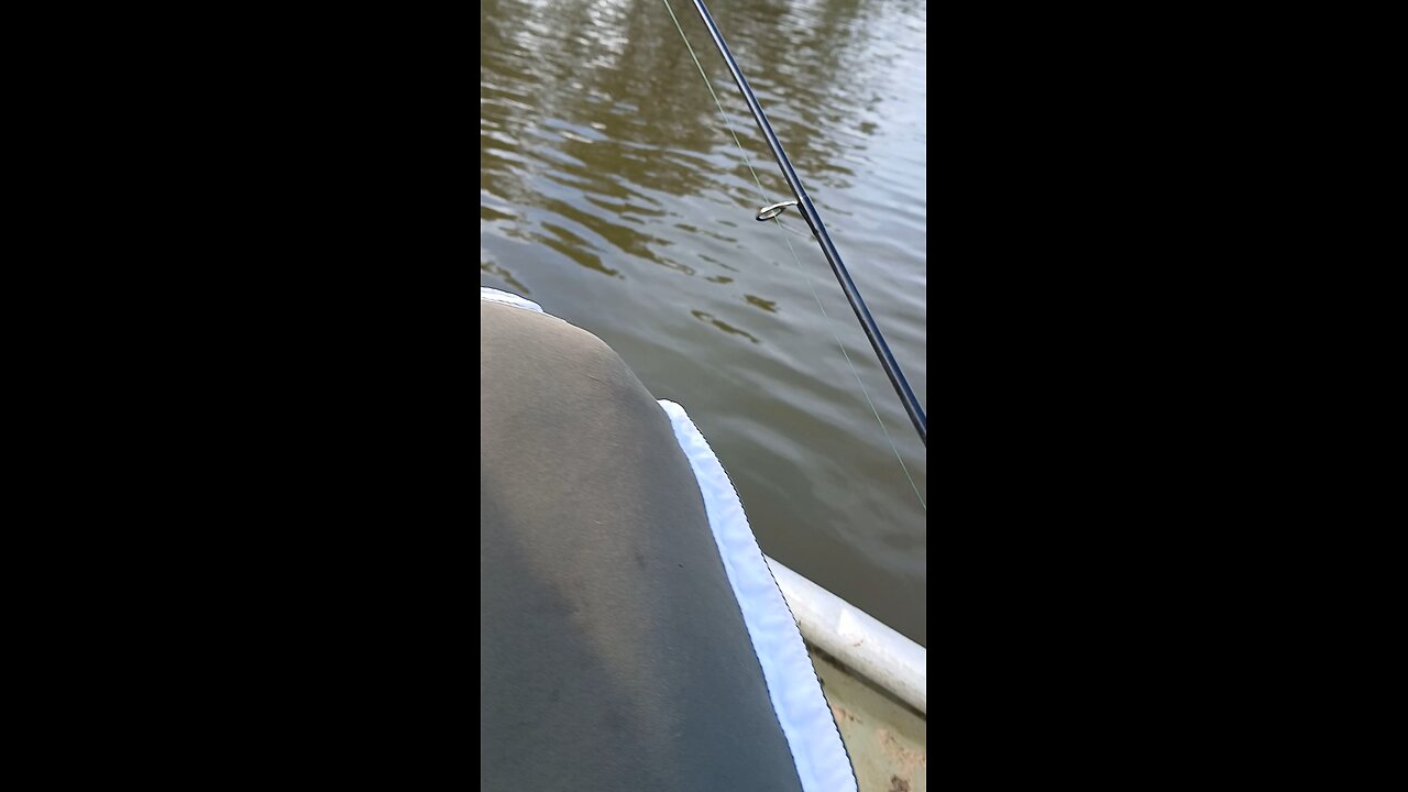 SickofShitygov catches a catfish....
