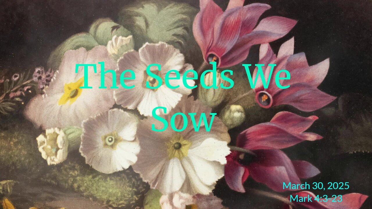 The Seeds We Sow