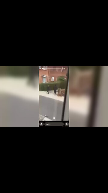 Dog walker killed by illegal immigrant -Uxbridge UK