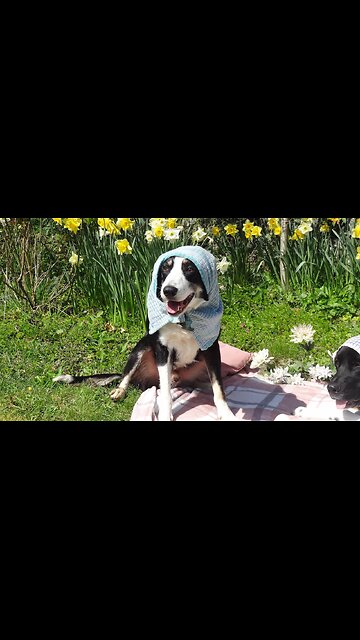 "Come over I'm home alone" never a good idea...