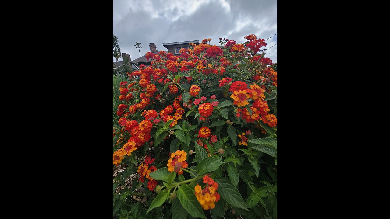 When a squirrel 🐿️ 💛 become your friend 😁