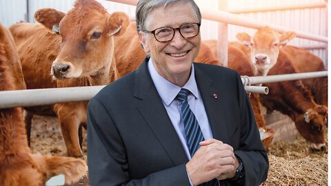 Banning Bill Gates Lab Grown Meat!