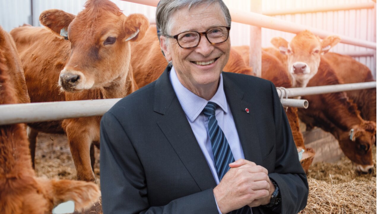 Banning Bill Gates Lab Grown Meat!