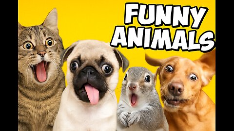 😹 Funniest Animals Ever! | Try Not to Laugh Challenge 😂🐶