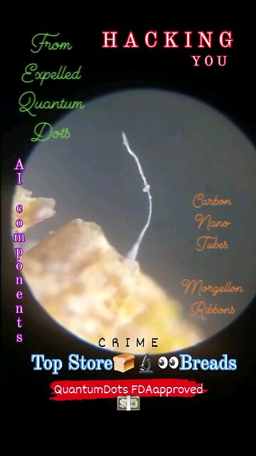 In many brands of bread MorgellonRibbons CarbonNanoTubes