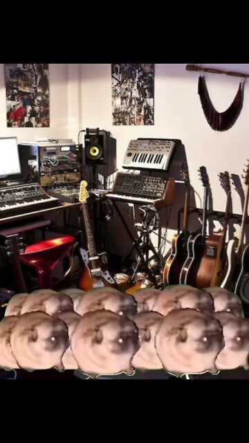 Funny meme video 😂