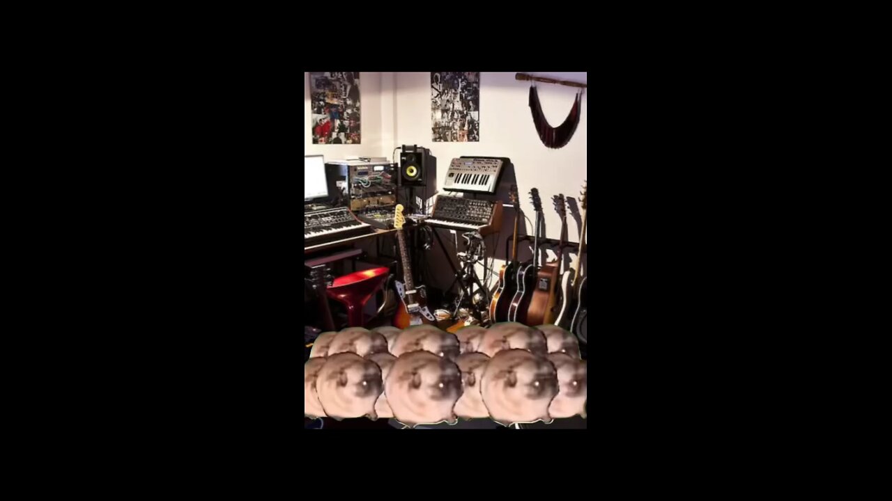 Funny meme video 😂