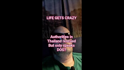 Dog speaking boy?