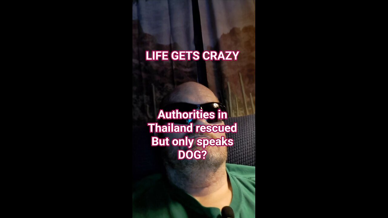 Dog speaking boy?