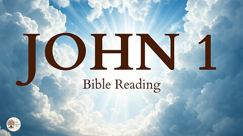 Book of John Chapter 1 | Peaceful Bible Gospel Audio Reading for Stillness and Scripture Meditation