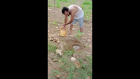 satisfying Video