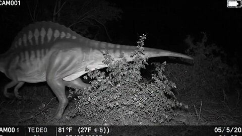 Dinosaur Caught on Camera - VHS Analog Horror #AmazonCreatureQuest #GiantAnimals #AmazonRainforest