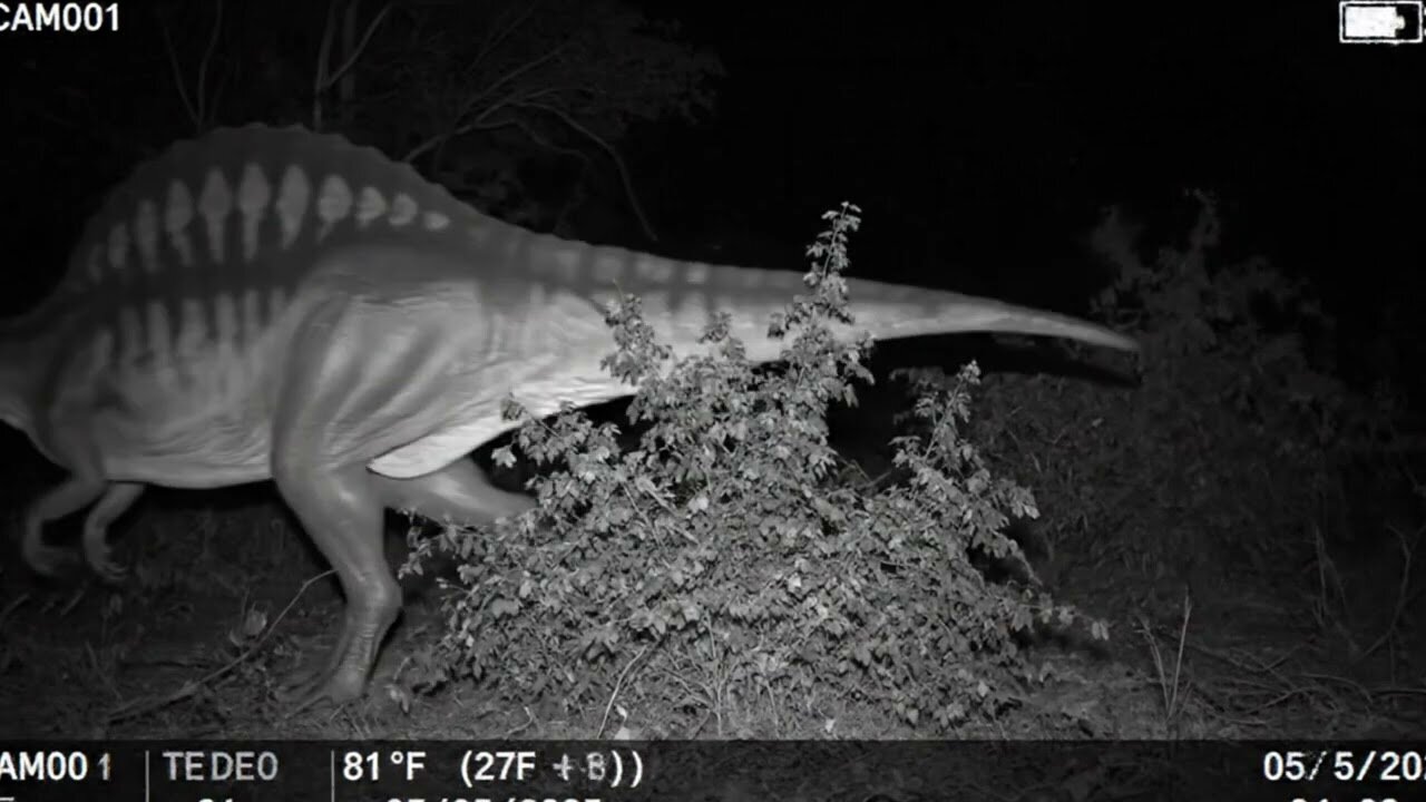 Dinosaur Caught on Camera - VHS Analog Horror #AmazonCreatureQuest #GiantAnimals #AmazonRainforest