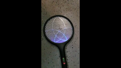 The western titanium cockroach is extremely durable and hearty
