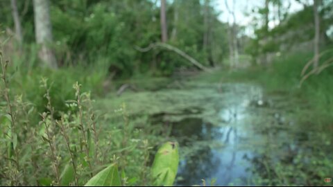How To: Make a Well for Fresh Water From Stagnant Swamp