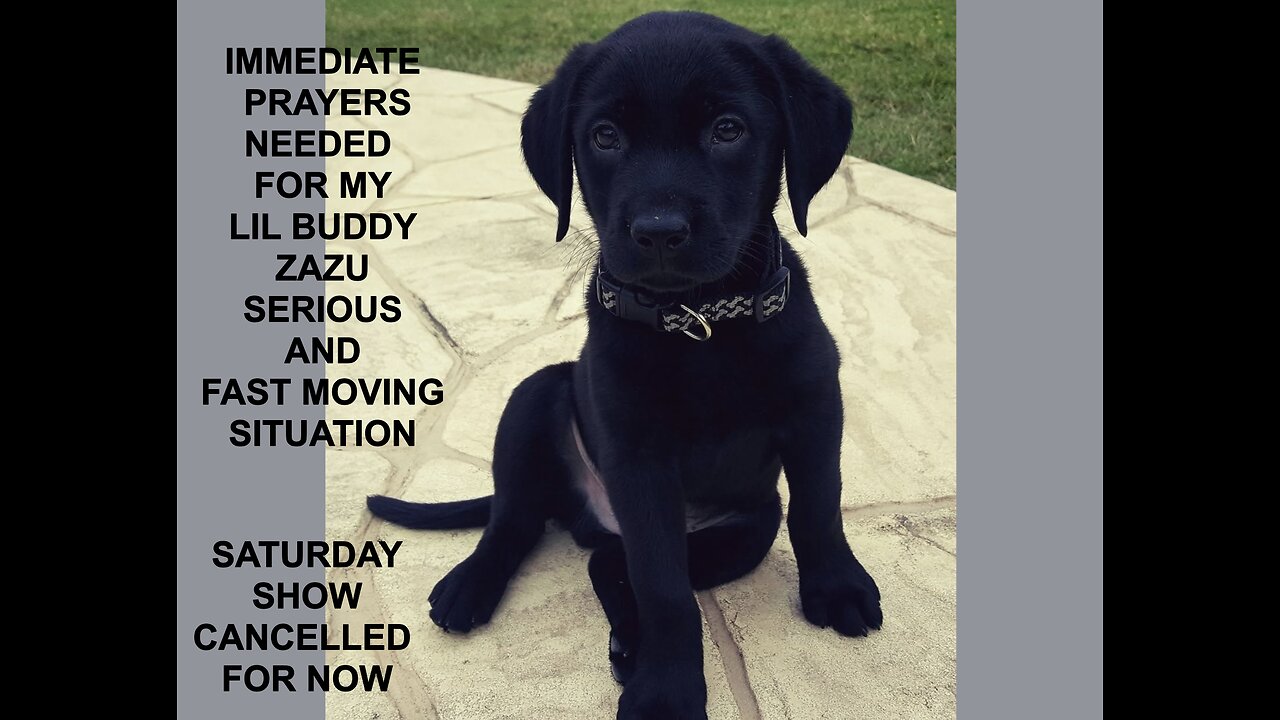 OUR LIL BUDDY IN NEED OF ALL LIGHTWORKERS & PRAYER WARRIORS POSITIVE ENERGY. SEND LOVE.