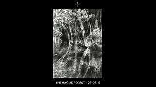 Haagse Bos (The Hague Forest) - 23-06-15