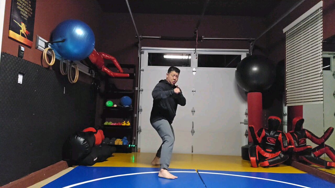 WTD 2 Step Kick Combination 91