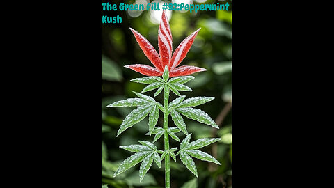 The Green Pill #92: Peppermint Kush