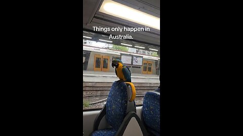 Only in Australia 🇦🇺